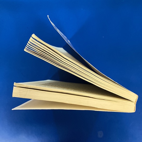 Flag Burning & Free Speech by Robert Justin Goldstein (paperback) - Picture 6 of 6